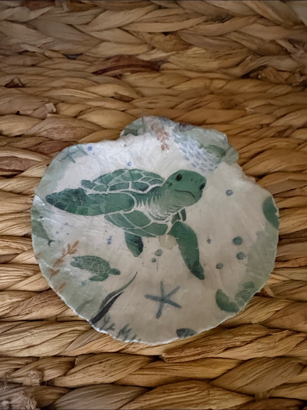 Hand Crafted Teal Sea Turtle Shell Art